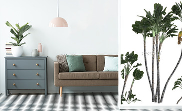 Visualisation du produit