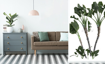 Visualisation du produit