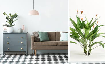 Visualisation du produit