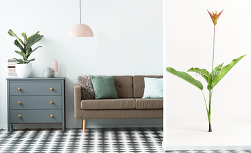 Visualisation du produit