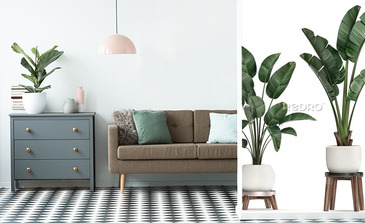 Visualisation du produit