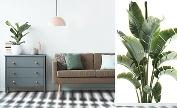 Visualisation du produit