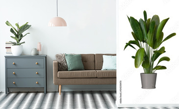 Visualisation du produit