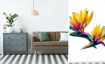 Visualisation du produit