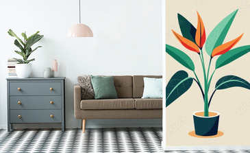 Visualisation du produit