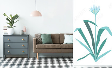 Visualisation du produit