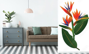 Visualisation du produit