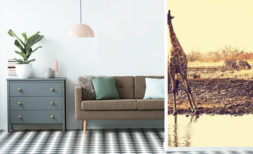 Visualisation du produit