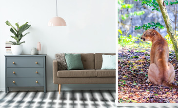 Visualisation du produit