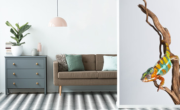 Visualisation du produit