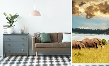 Visualisation du produit