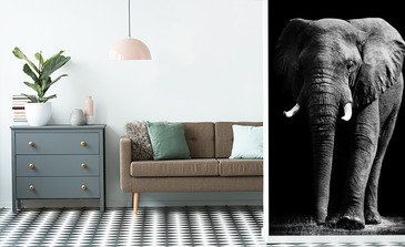 Visualisation du produit