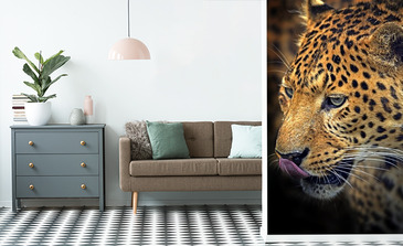 Visualisation du produit