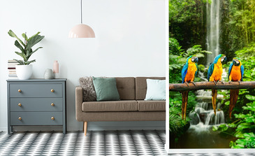 Visualisation du produit