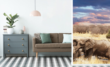 Visualisation du produit