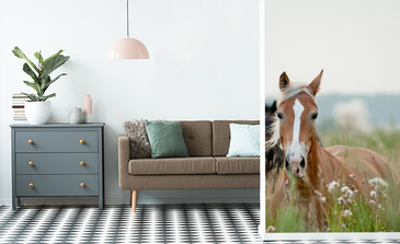 Visualisation du produit