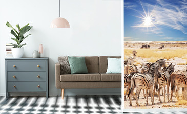 Visualisation du produit