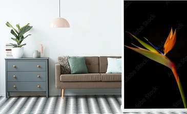 Visualisation du produit