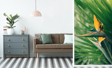 Visualisation du produit