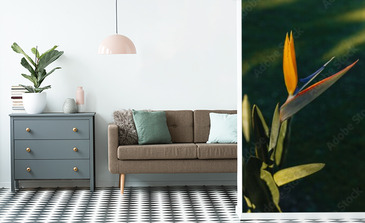 Visualisation du produit