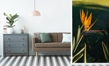 Visualisation du produit