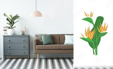 Visualisation du produit