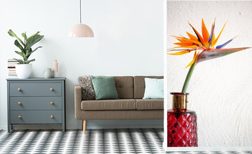 Visualisation du produit