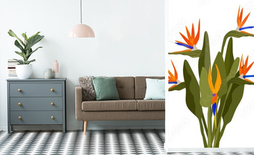 Visualisation du produit