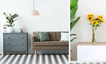 Visualisation du produit