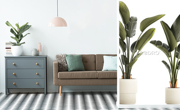 Visualisation du produit