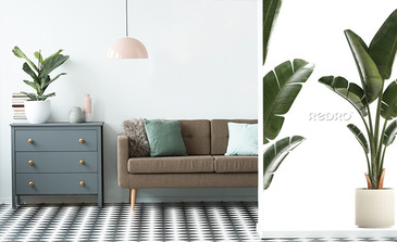 Visualisation du produit