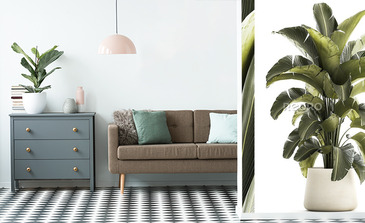 Visualisation du produit