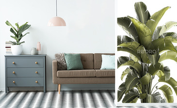 Visualisation du produit