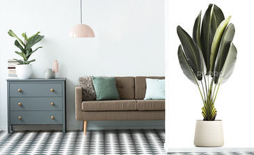 Visualisation du produit