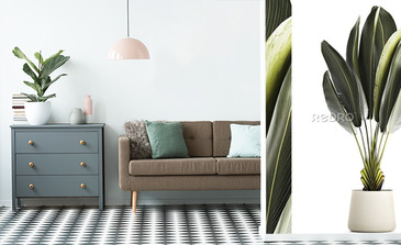 Visualisation du produit