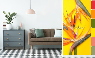 Visualisation du produit