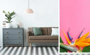 Visualisation du produit