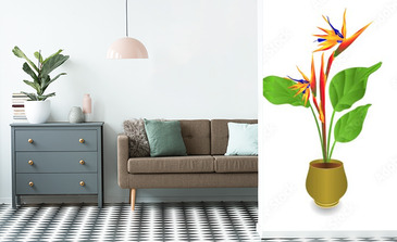 Visualisation du produit