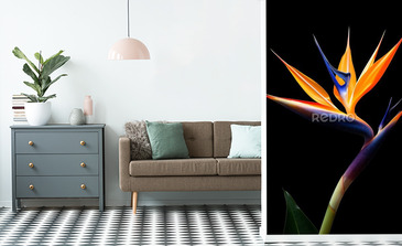 Visualisation du produit