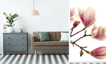 Visualisation du produit