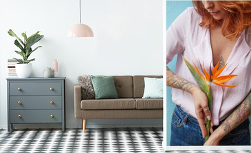 Visualisation du produit