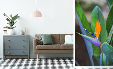 Visualisation du produit