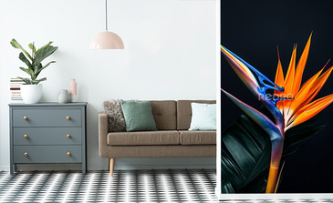 Visualisation du produit