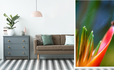 Visualisation du produit