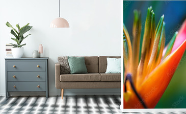 Visualisation du produit