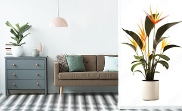 Visualisation du produit