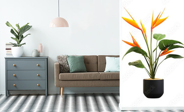 Visualisation du produit