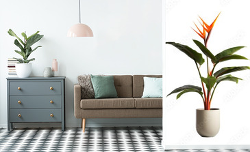 Visualisation du produit