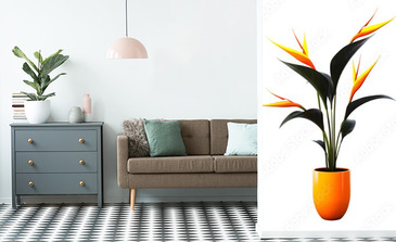 Visualisation du produit