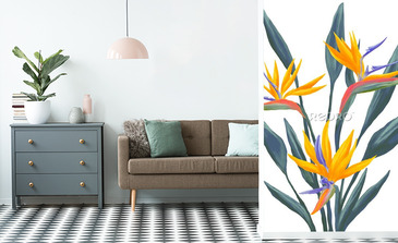 Visualisation du produit